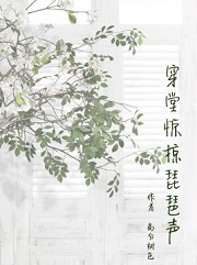 穿堂惊掠琵琶声