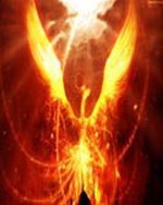 斗破苍穹之凤帝